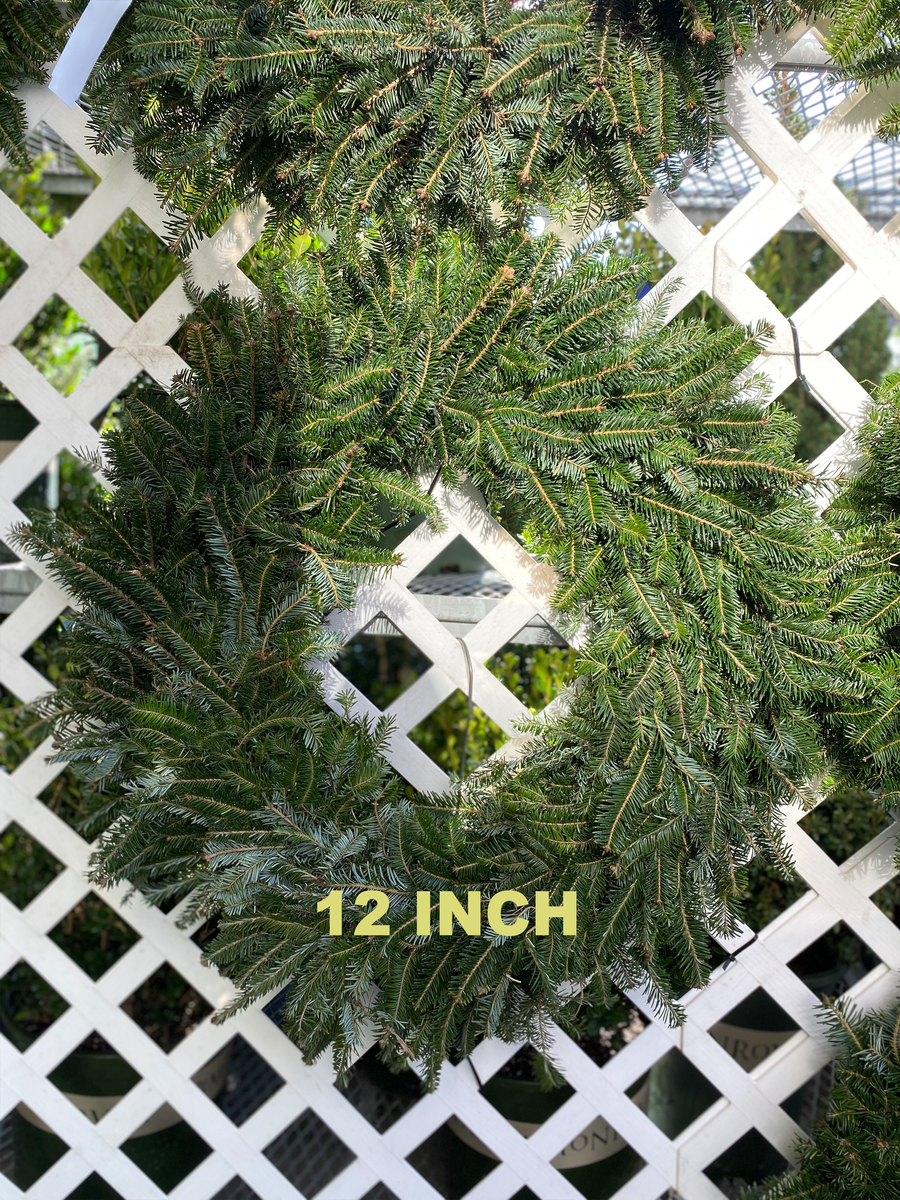 PLAIN FRASER FIR WREATHS 8 INCH TO 48 INCH