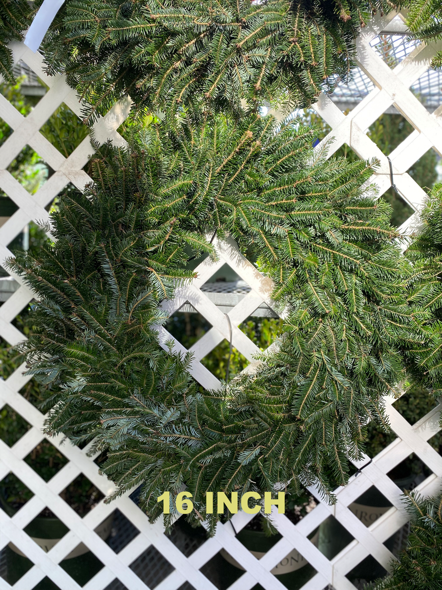 PLAIN FRASER FIR WREATHS 8 INCH TO 48 INCH