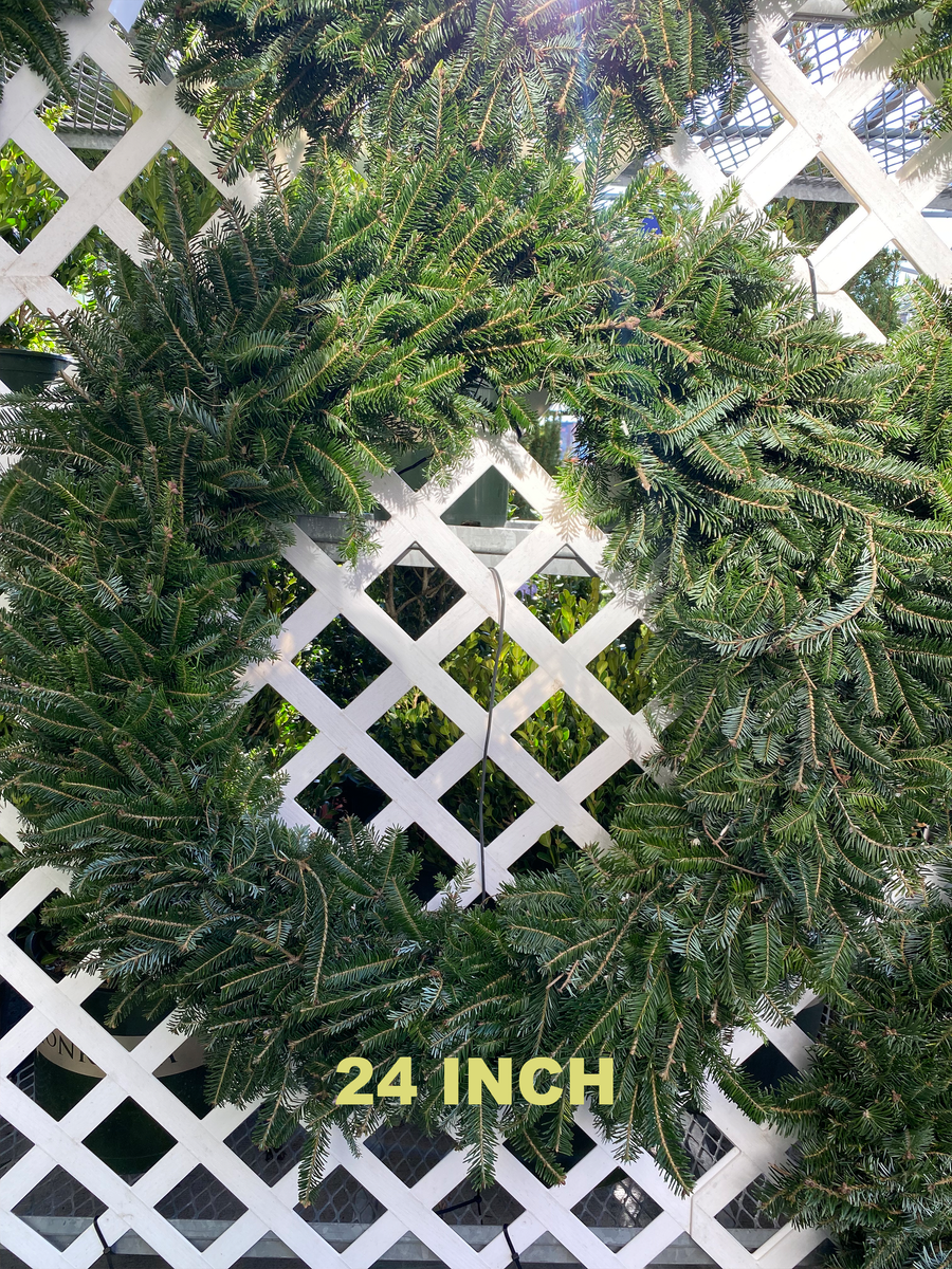 PLAIN FRASER FIR WREATHS 8 INCH TO 48 INCH