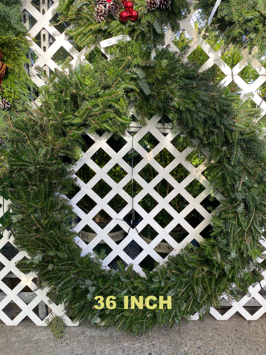 PLAIN FRASER FIR WREATHS 8 INCH TO 48 INCH