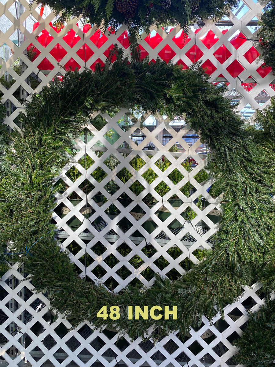 PLAIN FRASER FIR WREATHS 8 INCH TO 48 INCH