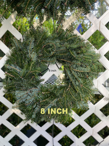 PLAIN FRASER FIR WREATHS 8 INCH TO 48 INCH