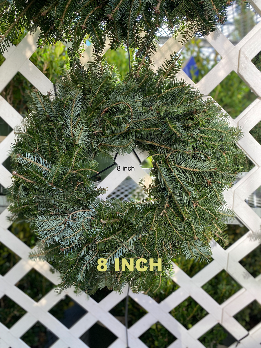 PLAIN FRASER FIR WREATHS 8 INCH TO 48 INCH