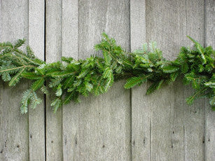 25 Ft Fraser Fir Garland - 14th Street Garden Center
