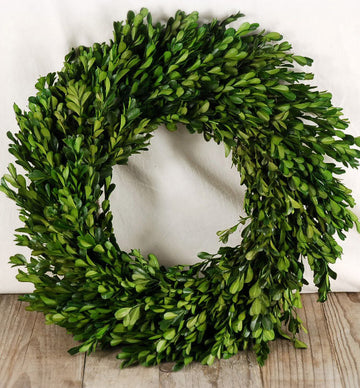 12 inch Boxwood Wreath - 14th Street Garden Center - 1