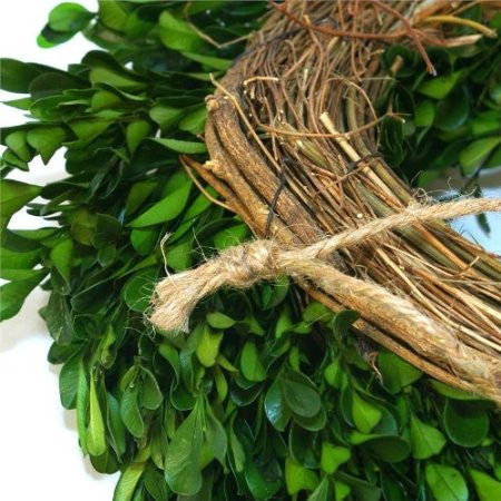 12 inch Boxwood Wreath - 14th Street Garden Center - 2