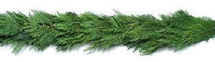 25 Ft Western Cedar Garland - 14th Street Garden Center - 1