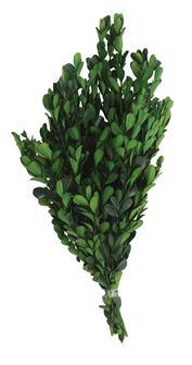 BOXWOOD BUNCH