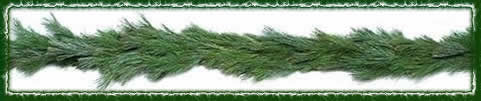 White Pine Garland - 14th Street Garden Center - 1